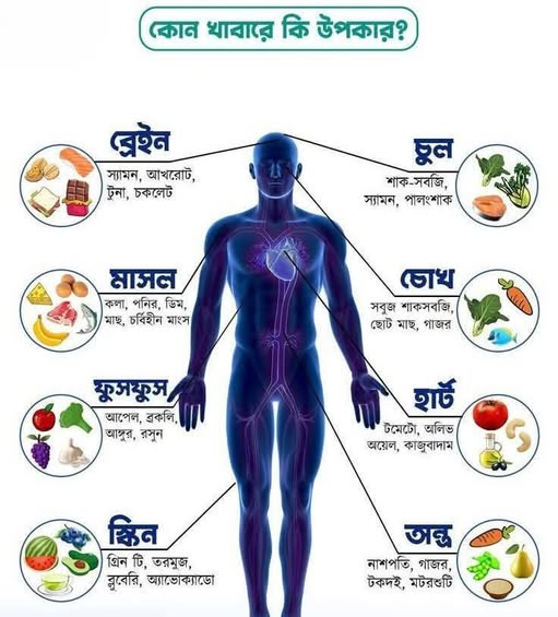 HOMEOPATHY-LMAF